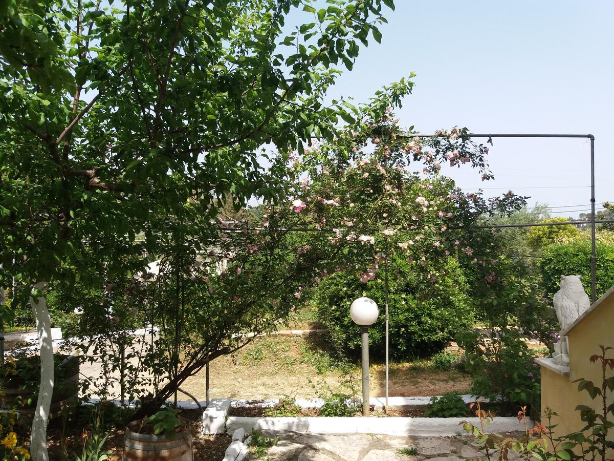 Athineos Apartments Комено Екстериор снимка